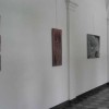 images_049