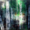 \'Birkenwald\' - Acryl - Annemarie Seidel - artelier41