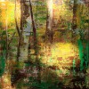 \'Sonnenstrahlen\' - Acryl - Annemarie Seidel - artelier41