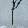 Bronze - Annemarie Seidel - artelier41