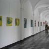 images_011