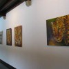 images_042