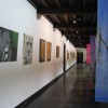 images_044
