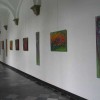images_051